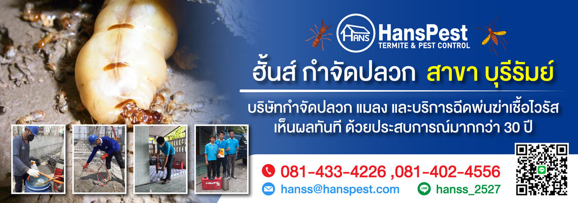 ฮันส์ กำจัดปลวก สาขาบุรีรัมย์