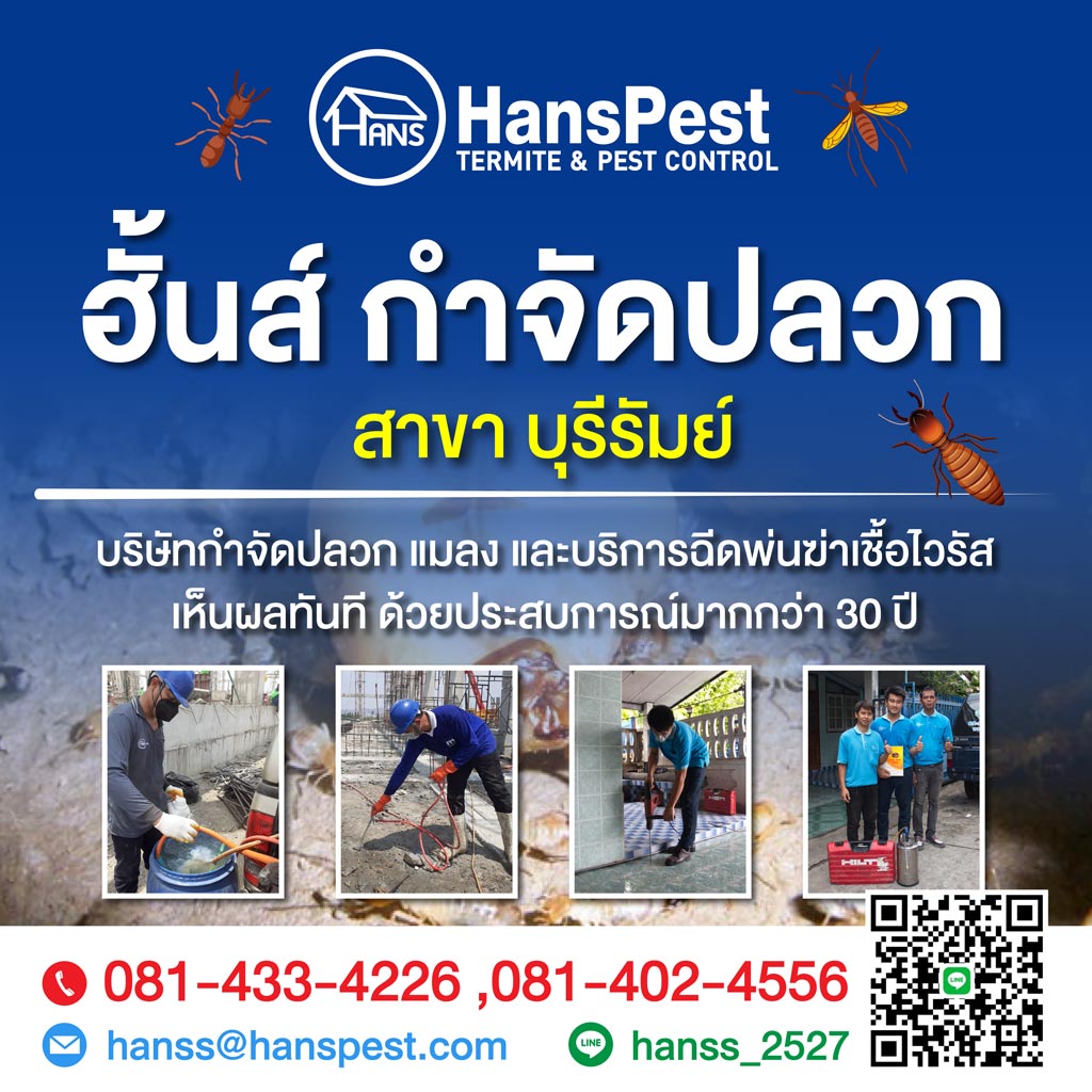 ฮันส์ กำจัดปลวก สาขาบุรีรัมย์