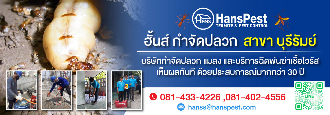 ฮันส์ กำจัดปลวก สาขาบุรีรัมย์