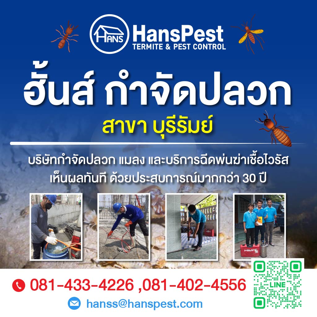 ฮันส์ กำจัดปลวก สาขาบุรีรัมย์